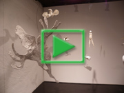 Video RAUM_MeNSCH
