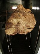 Schmerzskulptur